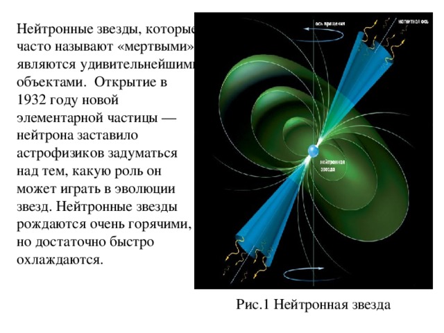 Нейтронные звезды, которые часто называют «мертвыми», являются удивительнейшими объектами. Открытие в 1932 году новой элементарной частицы — нейтрона заставило астрофизиков задуматься над тем, какую роль он может играть в эволюции звезд. Нейтронные звезды рождаются очень горячими, но достаточно быстро охлаждаются. Рис.1 Нейтронная звезда 