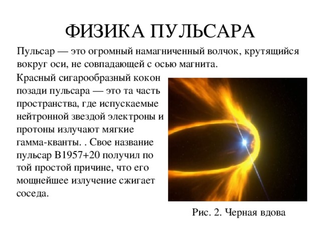 ФИЗИКА ПУЛЬСАРА Пульсар — это огромный намагниченный волчок, крутящийся вокруг оси, не совпадающей с осью магнита. Красный сигарообразный кокон позади пульсара — это та часть пространства, где испускаемые нейтронной звездой электроны и протоны излучают мягкие гамма-кванты. . Свое название пульсар B1957+20 получил по той простой причине, что его мощнейшее излучение сжигает соседа. Рис. 2. Черная вдова 