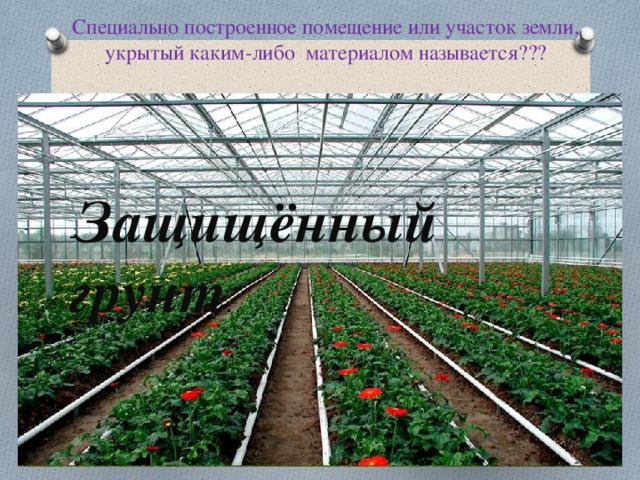 Специально построенное помещение или участок земли, укрытый каким-либо материалом называется???   - Защищённый грунт . 