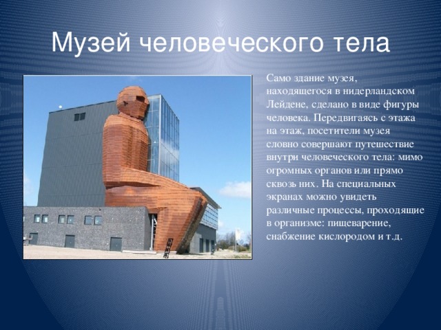 Музей человеческого тела Само здание музея, находящегося в нидерландском Лейдене, сделано в виде фигуры человека. Передвигаясь с этажа на этаж, посетители музея словно совершают путешествие внутри человеческого тела: мимо огромных органов или прямо сквозь них. На специальных экранах можно увидеть различные процессы, проходящие в организме: пищеварение, снабжение кислородом и т.д.