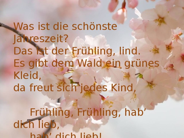 Was ist die schönste Jahreszeit? Das ist der Frühling, lind. Es gibt dem Wald ein grünes Kleid, da freut sich jedes Kind,  Frühling, Frühling, hab’ dich lieb,  hab’ dich lieb!  Frühling, Frühling, hab’ dich lieb! 