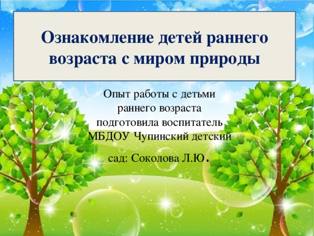 Ознакомление детей раннего возраста с миром природы Опыт работы с детьми раннего возраста  подготовила воспитатель МБДОУ Чупинский детский сад: Соколова Л.Ю .