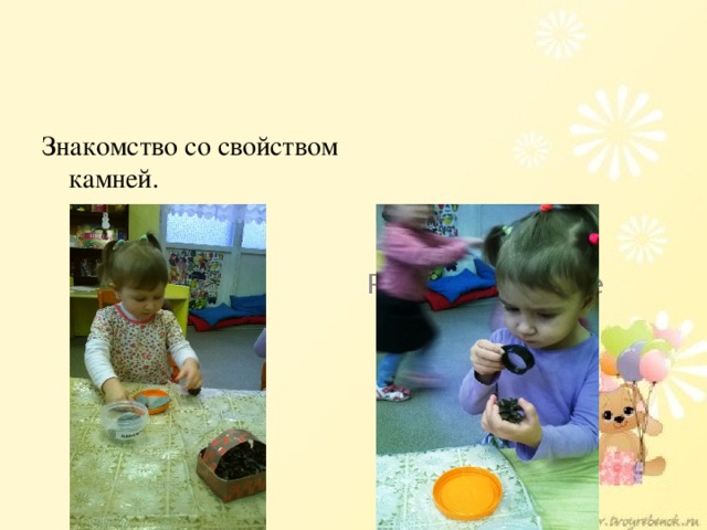 Знакомство со свойством камней. Рассматривание шишки