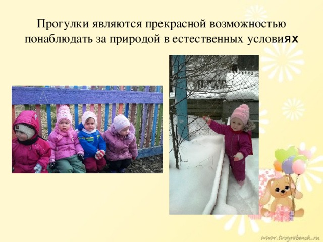 Прогулки являются прекрасной возможностью понаблюдать за природой в естественных услови ях