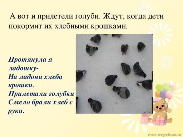 А вот и прилетели голуби. Ждут, когда дети покормят их хлебными крошками. Протянула я ладошку-  На ладони хлеба крошки.  Прилетали голубки  Смело брали хлеб с руки.