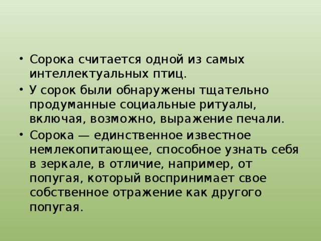 Сорока считается одной из самых интеллектуальных птиц. У сорок были обнаружены тщательно продуманные социальные ритуалы, включая, возможно, выражение печали. Сорока — единственное известное немлекопитающее, способное узнать себя в зеркале, в отличие, например, от попугая, который воспринимает свое собственное отражение как другого попугая. 