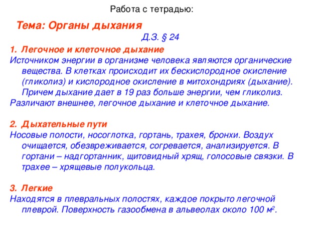 Работа с тетрадью: Тема: Органы дыхания      Д.З. § 24 Легочное и клеточное дыхание   Источником энергии в организме человека являются органические вещества. В клетках происходит их бескислородное окисление (гликолиз) и кислородное окисление в митохондриях (дыхание). Причем дыхание дает в 19 раз больше энергии, чем гликолиз. Различают внешнее, легочное дыхание и клеточное дыхание.  Дыхательные пути   Носовые полости, носоглотка, гортань, трахея, бронхи. Воздух очищается, обезвреживается, согревается, анализируется. В гортани – надгортанник, щитовидный хрящ, голосовые связки. В трахее – хрящевые полукольца.  Легкие   Находятся в плевральных полостях, каждое покрыто легочной плеврой. Поверхность газообмена в альвеолах около 100 м 2 .