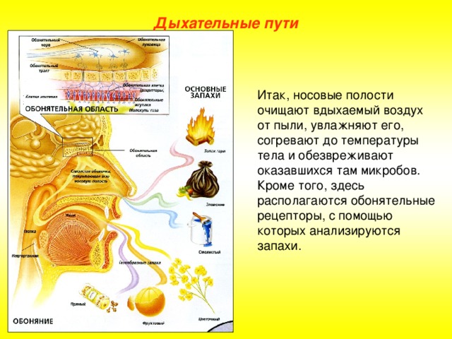 Изобразите с помощью схематического рисунка как располагаются частицы воздуха при нагревании и охлаждении