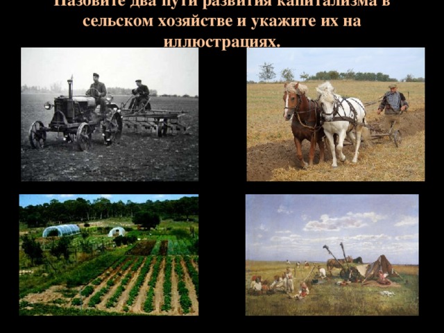 Назовите два пути развития капитализма в сельском хозяйстве и укажите их на иллюстрациях.  