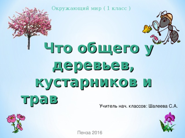 Имя города села поселка 2 класс пнш презентация