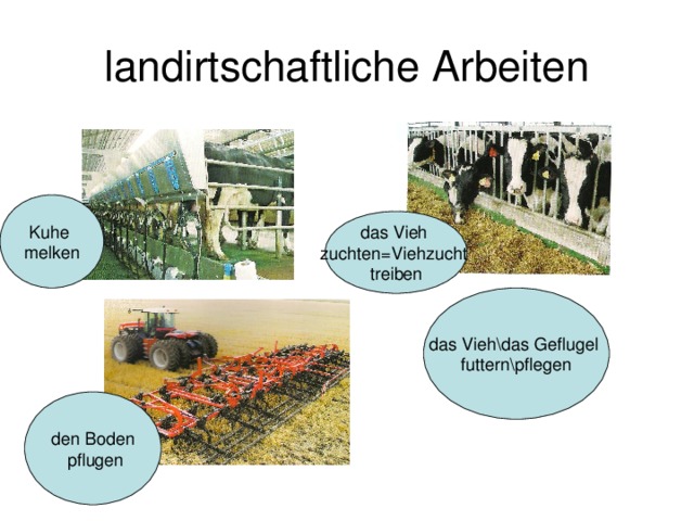 landirtschaftliche Arbeiten Kuhe melken das Vieh zuchten=Viehzucht treiben das Vieh\das Geflugel futtern\pflegen den Boden  pflugen 