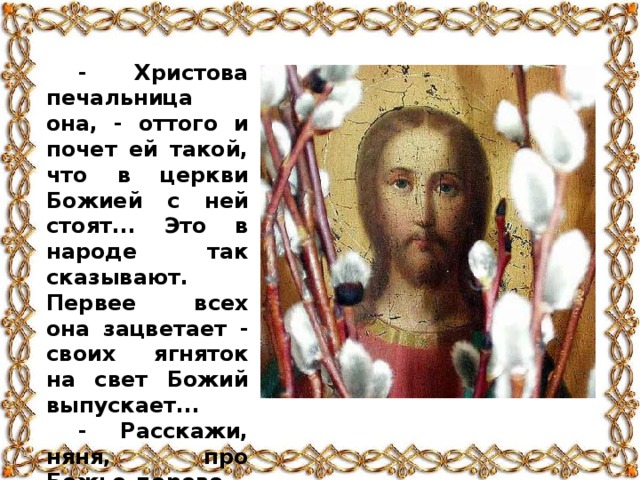 - Христова печальница она, - оттого и почет ей такой, что в церкви Божией с ней стоят... Это в народе так сказывают. Первее всех она зацветает - своих ягняток на свет Божий выпускает... - Расскажи, няня, про Божье дерево, - просит Таня.