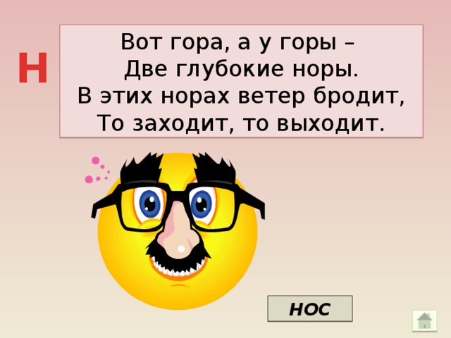 Вот гора, а у горы – Две глубокие норы. В этих норах ветер бродит, То заходит, то выходит. Н НОС