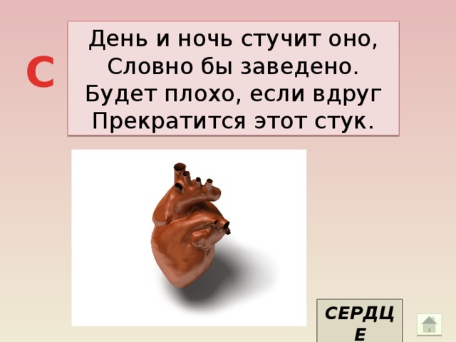 День и ночь стучит оно, Словно бы заведено. Будет плохо, если вдруг Прекратится этот стук. С СЕРДЦЕ