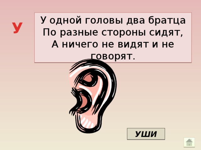 У одной головы два братца По разные стороны сидят, А ничего не видят и не говорят. У УШИ