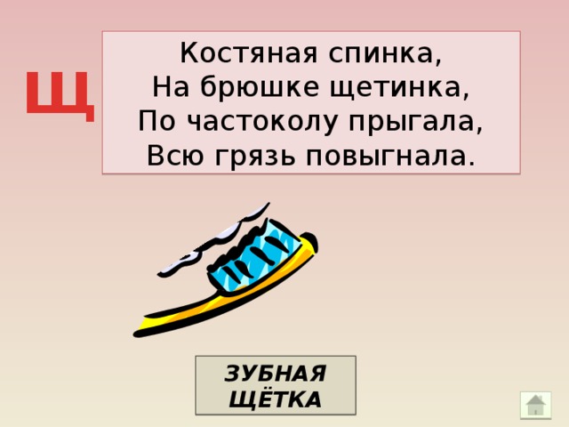 Костяная спинка, На брюшке щетинка, По частоколу прыгала, Всю грязь повыгнала. Щ ЗУБНАЯ ЩЁТКА