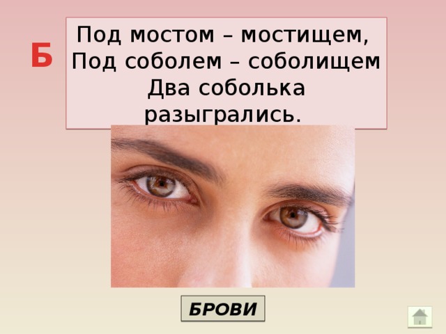 Под мостом – мостищем, Под соболем – соболищем Два соболька разыгрались. Б БРОВИ