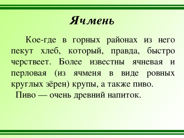 Ячмень Кое-где в горных районах из него пекут хлеб, который, правда, быстро черствеет. Более известны ячневая и перловая (из ячменя в виде ровных круглых зёрен) крупы, а также пиво. Пиво — очень древний напиток. 