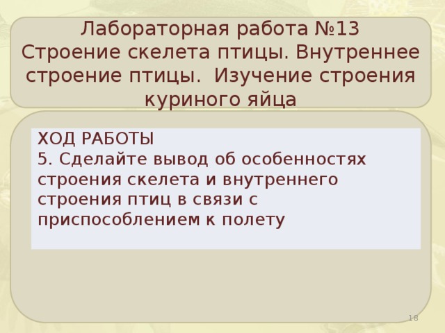 Лабораторная работа №13 Строение скелета птицы. Внутреннее строение птицы. Изучение строения куриного яйца ХОД РАБОТЫ 5. Сделайте вывод об особенностях строения скелета и внутреннего строения птиц в связи с приспособлением к полету