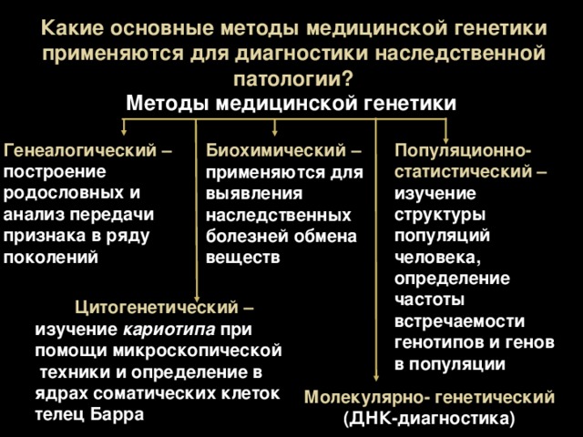 Методы диагностики наследственных заболеваний презентация