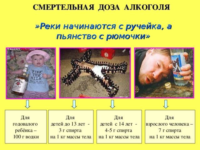 Смертельная Доза Липтона