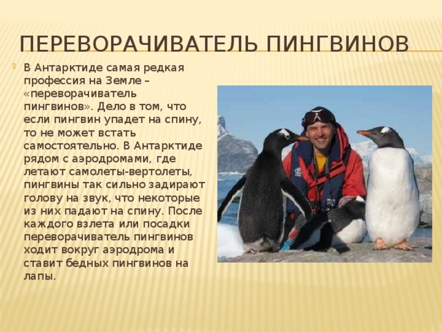 Презентация необычные профессии 2 класс