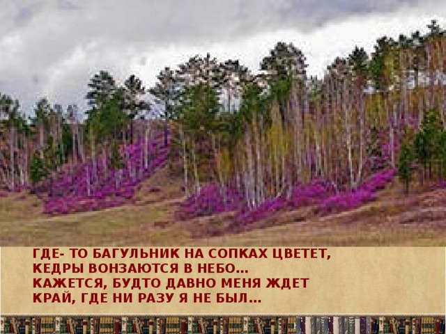 где- то багульник на сопках цветет,  кедры вонзаются в небо…  Кажется, будто давно меня ждет  край, где ни разу я не был…