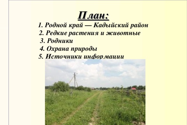 План:  1. Родной край — Кадыйский район  2. Редкие растения и животные  3. Родники  4. Охрана природы  5. Источники информации