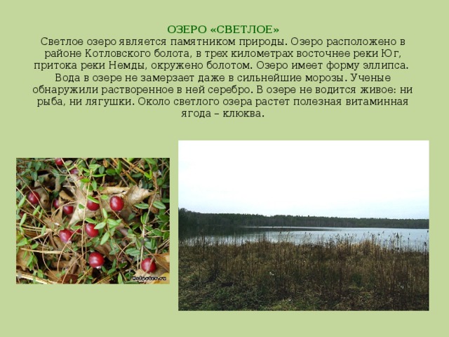 ОЗЕРО «СВЕТЛОЕ»  Светлое озеро является памятником природы. Озеро расположено в районе Котловского болота, в трех километрах восточнее реки Юг, притока реки Немды, окружено болотом. Озеро имеет форму эллипса.  Вода в озере не замерзает даже в сильнейшие морозы. Ученые обнаружили растворенное в ней серебро. В озере не водится живое: ни рыба, ни лягушки. Около светлого озера растет полезная витаминная ягода – клюква.