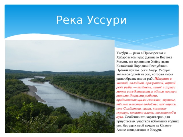 План характеристики реки уссури - 86 фото
