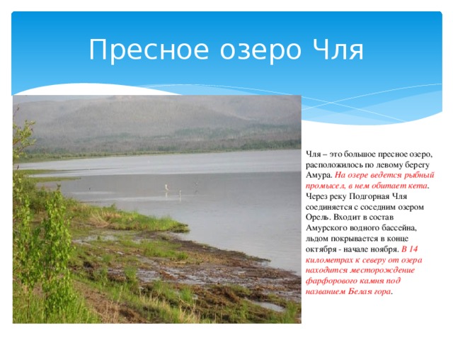 Чля – это большое пресное озеро, расположилось по левому берегу Амура. На озере ведется рыбный промысел, в нем обитает кета . Через реку Подгорная Чля соединяется с соседним озером Орель. Входит в состав Амурского водного бассейна, льдом покрывается в конце октября - начале ноября. В 14 километрах к северу от озера находится месторождение фарфорового камня под названием Белая гора . Пресное озеро Чля  