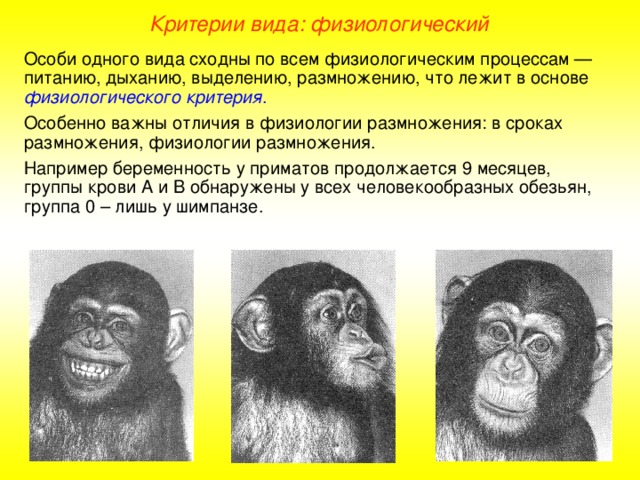 Исторический критерий вида примеры