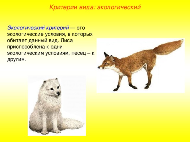 Экологический критерий вида
