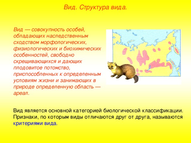 Вид. Структура вида. Вид — совокупность особей, обладающих наследственным сходством морфологических, физиологических и биохимических особенностей, свободно скрещивающихся и дающих плодовитое потомство, приспособленных к определенным условиям жизни и занимающих в природе определенную область — ареал.  Вид является основной категорией биологической классификации. Признаки, по которым виды отличаются друг от друга, называются критериями вида. 