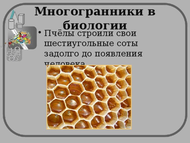 Многогранники в биологии Пчёлы строили свои шестиугольные соты задолго до появления человека. 
