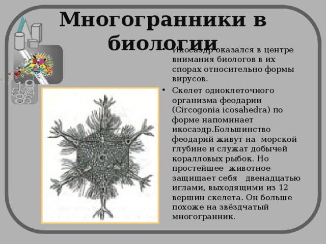 Многогранники в биологии Икосаэдр  оказался в центре внимания  биологов в их спорах  относительно формы вирусов. Скелет одноклеточного организма феодарии (Circogonia icosahedra) по форме напоминает икосаэдр.Большинство феодарий живут на морской глубине и служат добычей коралловых рыбок. Но простейшее животное защищает себя двенадцатью иглами, выходящими из 12 вершин скелета. Он больше похоже на звёздчатый многогранник. 