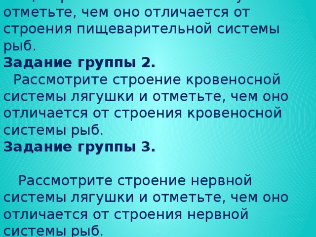 Задание группы 1. Рассмотрите строение пищеварительной системы лягушки и отметьте, чем оно отличается от строения пищеварительной системы рыб. Задание группы 2.  Рассмотрите строение кровеносной системы лягушки и отметьте, чем оно отличается от строения кровеносной системы рыб. Задание группы 3.  Рассмотрите строение нервной системы лягушки и отметьте, чем оно отличается от строения нервной системы рыб.