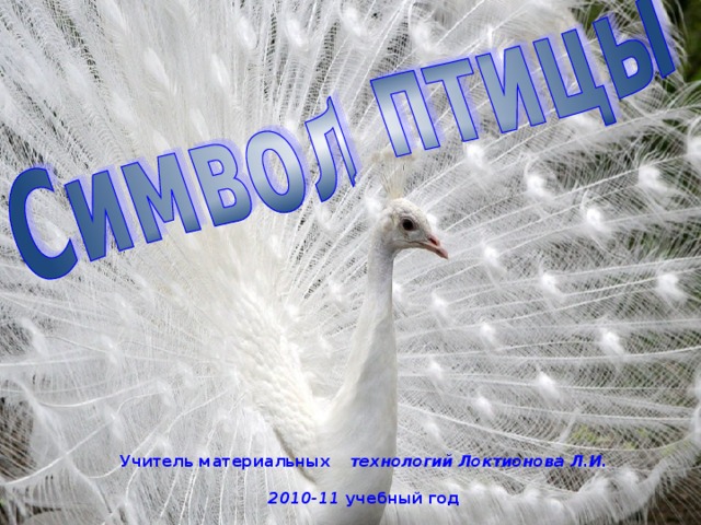 Учитель материальных  технологий Локтионова Л.И. 2010-11 учебный год   