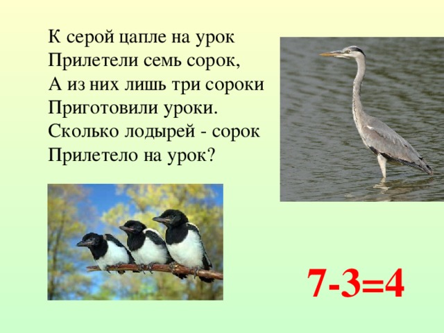 К серой цапле на урок Прилетели семь сорок, А из них лишь три сороки Приготовили уроки.  Сколько лодырей - сорок Прилетело на урок? 7-3=4 