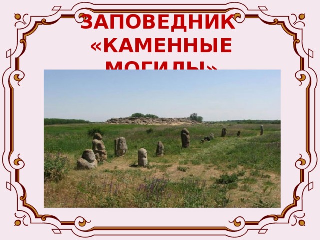 ЗАПОВЕДНИК  «КАМЕННЫЕ МОГИЛЫ» Степи здесь разнотравно-ковыльные. В заповеднике растут ковыль Лессинга, ковыль – волосатик, типчак, шалфей поникший, вероника степная, зопник клубненосный, перекати-поле, чабрец, тысячелистник голый, шиповник, терн. Ежегодно здесь проходят практику студенты вузов: биологи, геологи, историки. С ранней весны и до поздней осени его посещают тысячи туристов. 