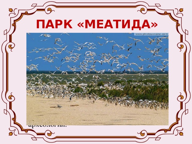ПАРК «МЕАТИДА» Региональный парк «Меатида» образован 30 июня 2000 года. Под охраной находятся 13 тысяч га территории Приазовья и 13 тысяч га акватории Азовского моря. Этот заповедник принят в международную организацию EVROPARK. «Меатида» так греки называли Азовское море. Здесь находятся около 60 памятников археологии. 