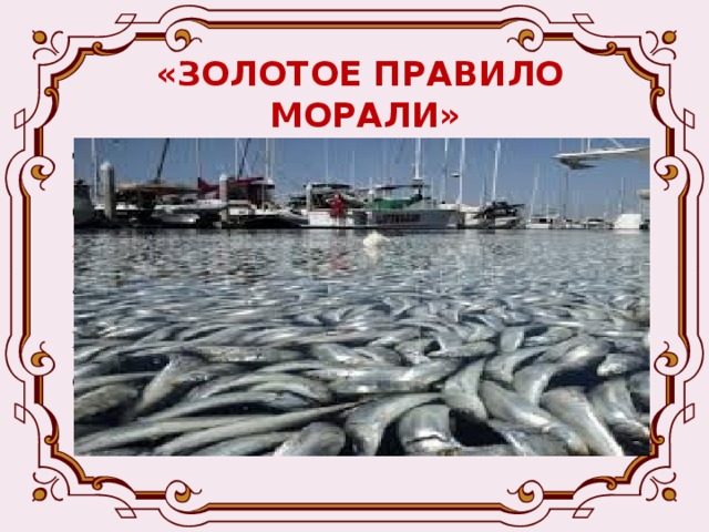 «ЗОЛОТОЕ ПРАВИЛО  МОРАЛИ» Такое новое отношение к природе стали называть экологической моралью. Главный смысл экологической морали – научиться поступать так, чтобы не навредить окружающей среде, не делать ей зла. 