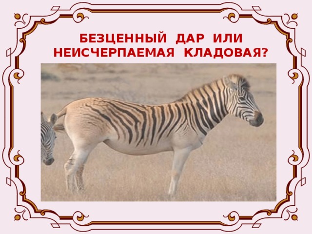 БЕЗЦЕННЫЙ ДАР ИЛИ НЕИСЧЕРПАЕМАЯ КЛАДОВАЯ?    Такая же печальная судьба у зебры квагги, голубой лошадиной антилопы и сотен, сотен других животных и птиц. Так появилась «чёрная книга» - в ней перечислены животные, которых никогда мы больше не увидим, а ведь это тоже был бесценный дар природы! 