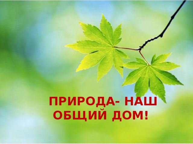  ПРИРОДА- НАШ ОБЩИЙ ДОМ! 
