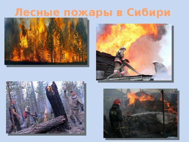 Лесные пожары в Сибири