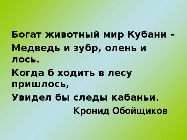 Богат животный мир Кубани – Медведь и зубр, олень и лось. Когда б ходить в лесу пришлось, Увидел бы следы кабаньи.    Кронид Обойщиков