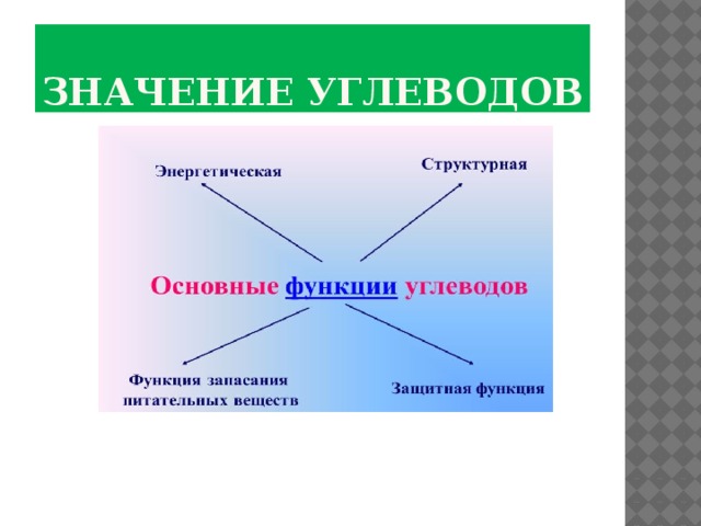 Значение углеводов. Практическое значение углеводов схема. Практическое значение углеводов. Значение углеводов в организме человека