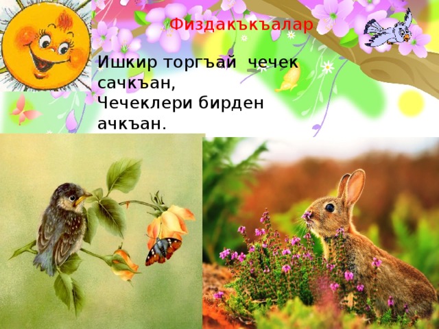 Физдакъкъалар - .  Ишкир торгъай чечек сачкъан, Чечеклери бирден ачкъан. Чапкъан кельген чельден тавшан, Чечеклерни ашап къачкъан.  