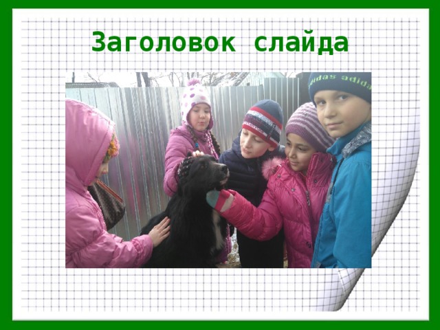Заголовок слайда 