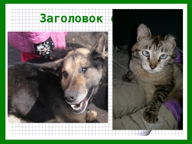 Заголовок слайда 